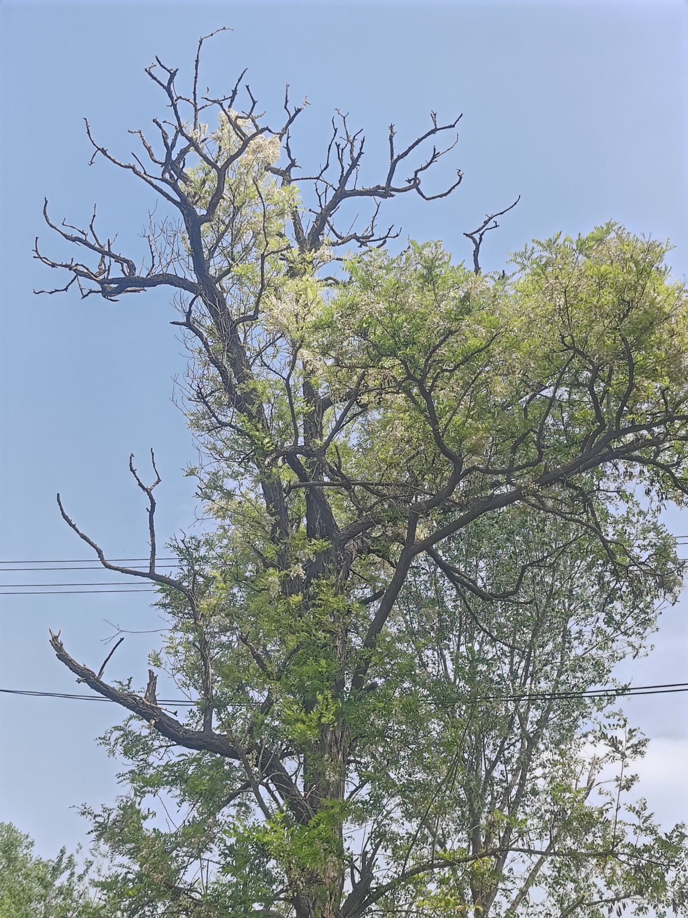 我们的根在何方？