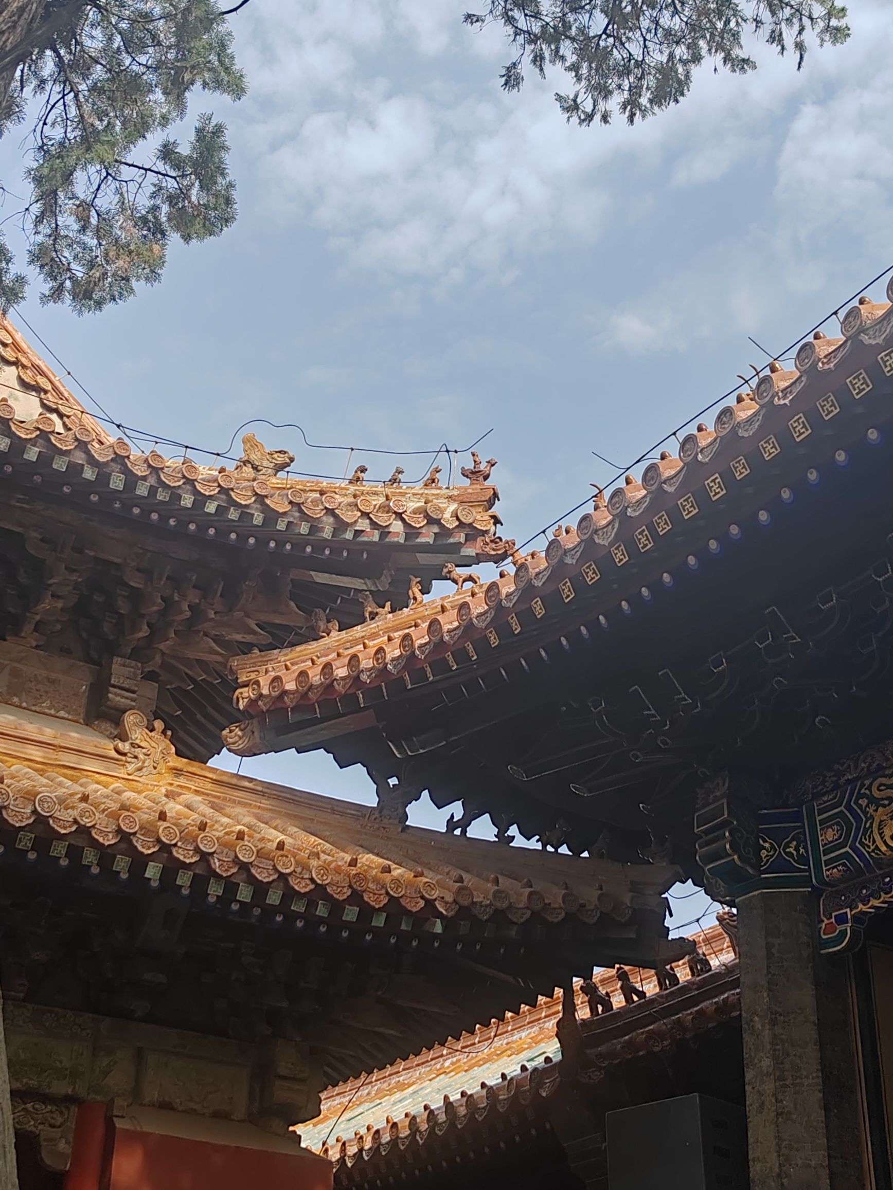 五一山东行